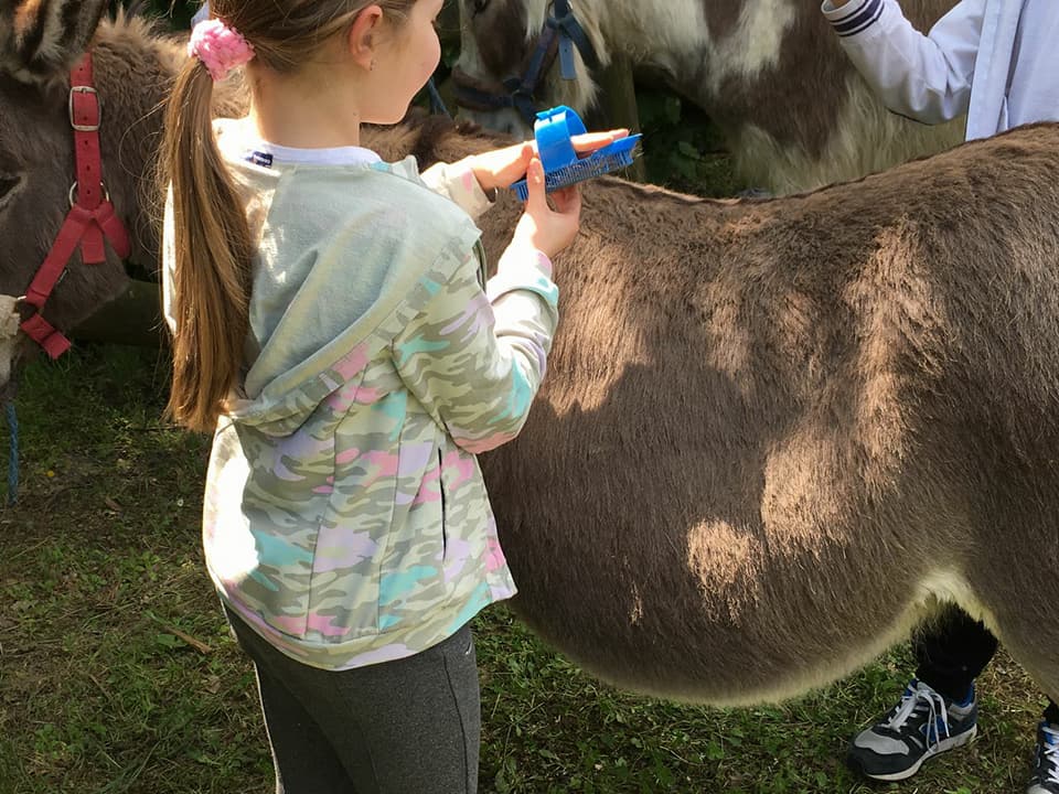 attività per le scuole