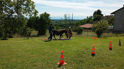 Pet Therapy con L'asino Maestro