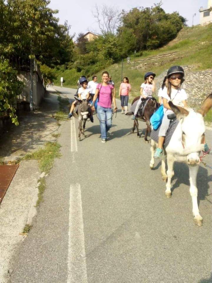 L'Asino Maestro in passeggiata