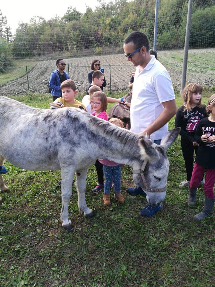 Associazione Asino Maestro